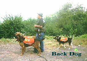 backdog1.jpg (61056 bytes)