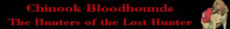 chinooklogo.gif (3919 bytes)